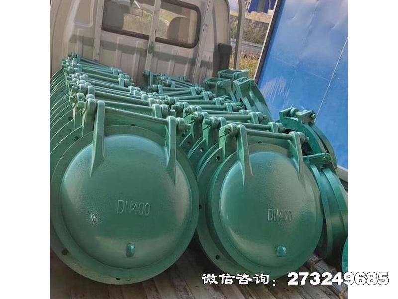 磁县污水管玻璃钢拍门