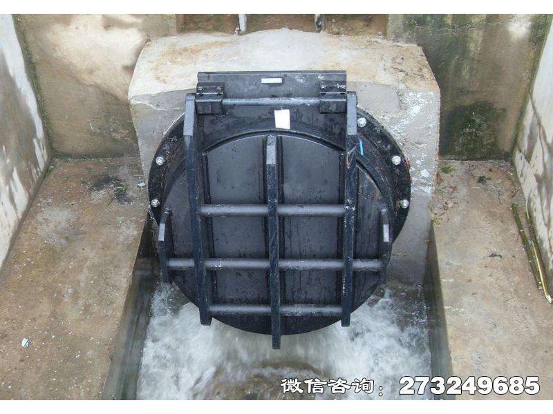 利川钢制水渠拍门